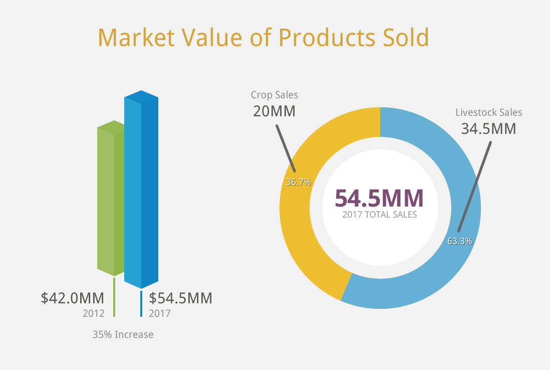 Market Value of Products Sold